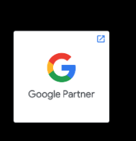 Google Partner Sertifikası
